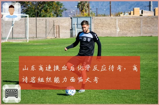 山东高速换血后化学反应待考，高诗岩组织能力面临大考