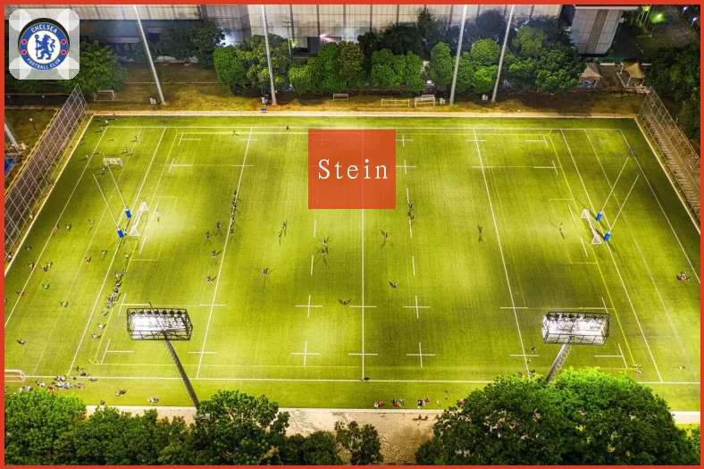 Stein