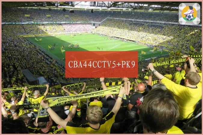 CBA44CCTV5+PK9