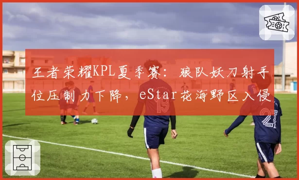 王者荣耀KPL夏季赛:狼队妖刀射手位压制力下降,eStar花海野区入侵成破局点